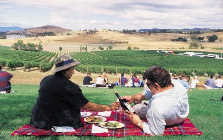 澳洲亚拉河谷葡萄酒庄园品酒图片