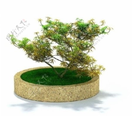 精美花台植物3D模型图片