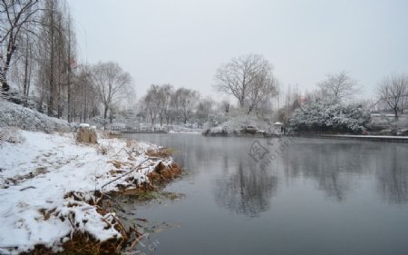 济南的冬天大明湖图片