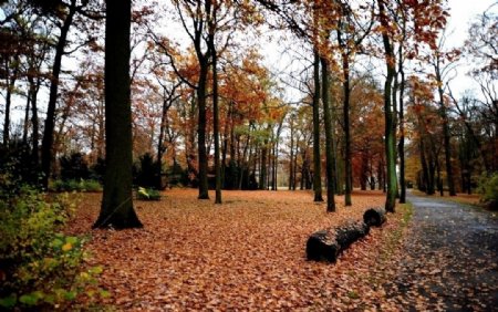 德国波茨坦的秋色图片
