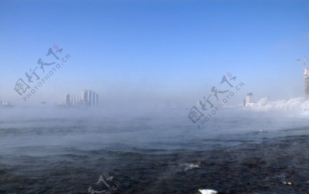 江畔雾松图片