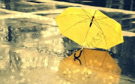 唯美雨伞图片
