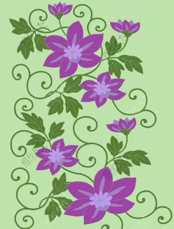 绿叶紫花图片