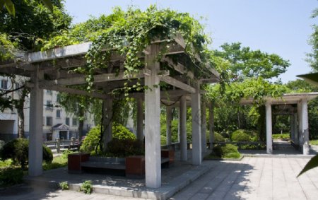 扬州大学休息廊图片