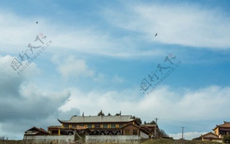 寺院上空盘旋的飞鹰图片