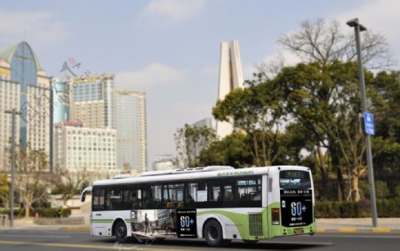 外滩黄浦公园路段街景图片