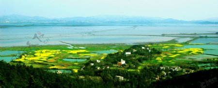 安徽桐城嬉子湖图片