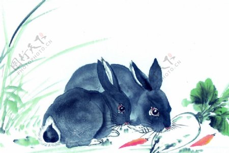 黑白十二生肖国画手绘兔图片
