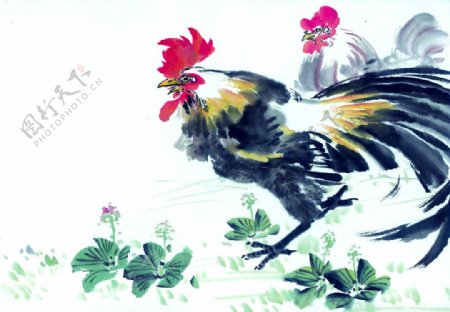 黑白十二生肖国画手绘鸡图片