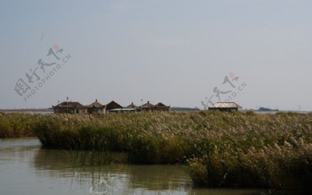 扎龙自然保护区风光图片