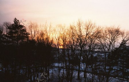 雪中夕阳图片
