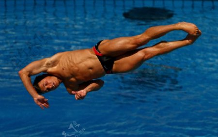 男跳水运动员图片