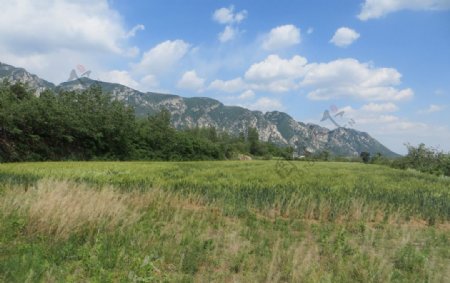 嵩山夏日风景图片