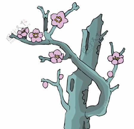 树花插画图片