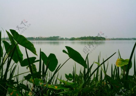 绿湖图片
