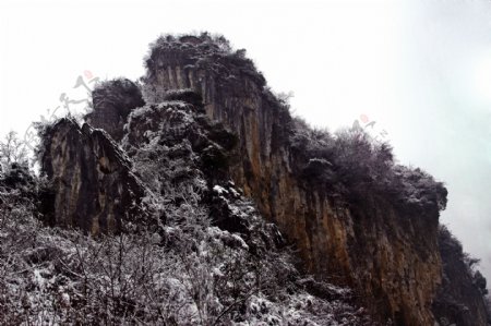 雪景图片