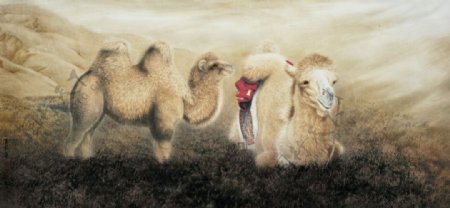 国画骆驼图片