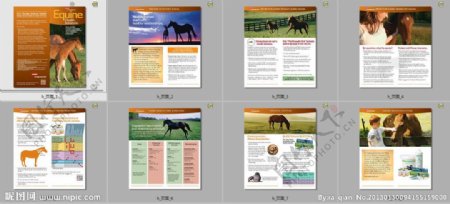 国外马类兽医药产品图片