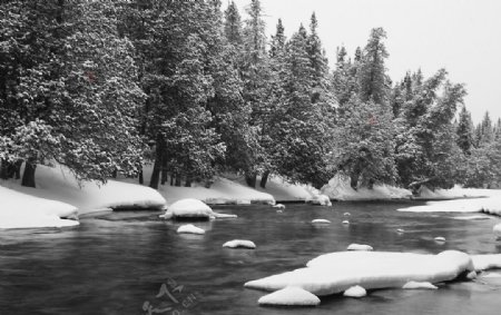 黑白小溪森林雪景图片