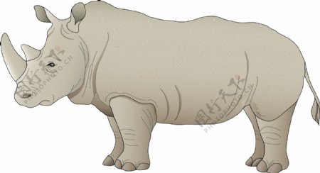 犀牛手绘图片
