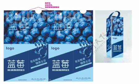 蓝莓礼盒图片