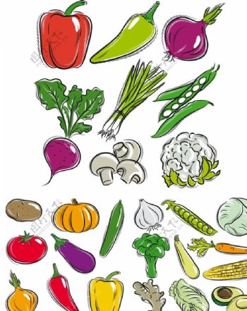 手绘蔬菜图片