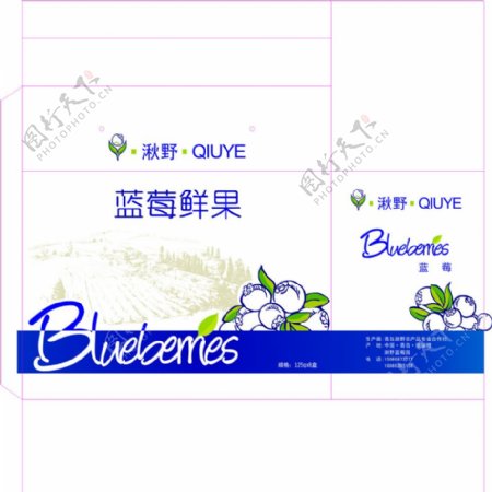 蓝莓包装箱图片
