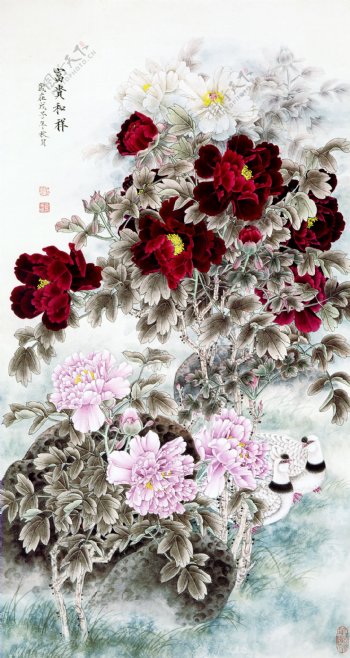 牡丹花卉图图片