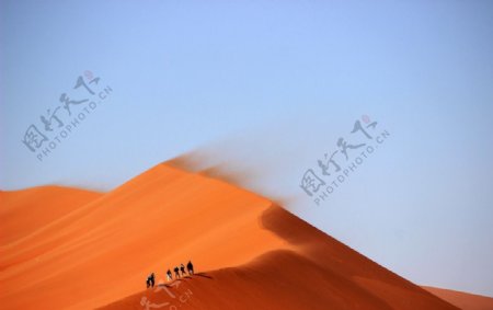 沙漠探险队图片