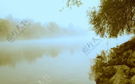 雾景图片
