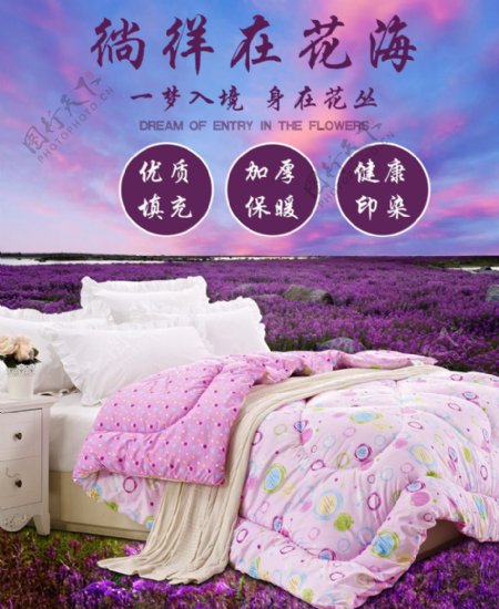 紫色背景印花床品图片
