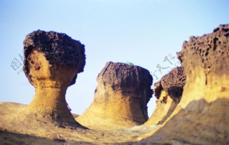 蘑菇风化石图片
