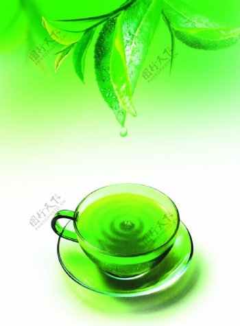 健康饮茶茶海报图片
