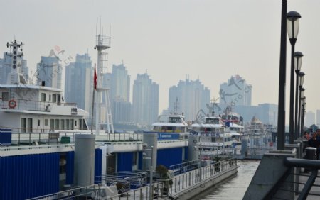 黄浦江的船图片