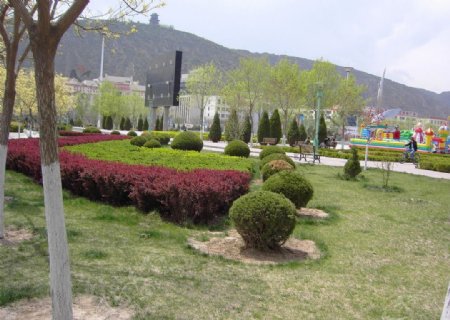 春季广场美景图片