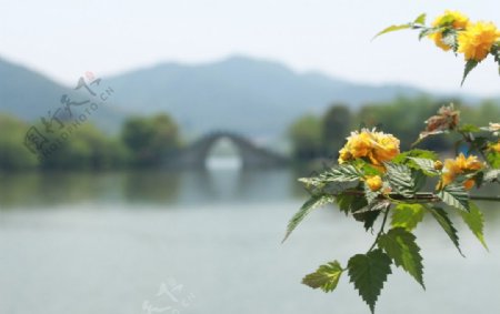 湘湖景图片