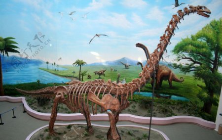 大型恐龙模型图片