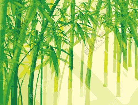 阳光竹林数字油画图片