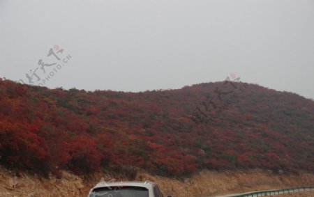 丹峡秋景图片