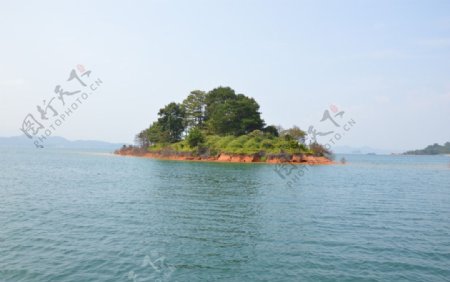 湖中小岛万绿湖景观图片