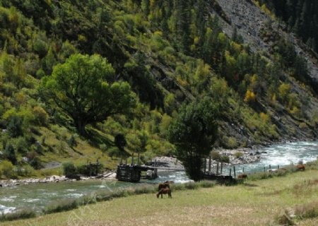 格聂山峰图片