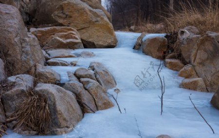 结冰的溪流图片