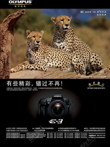 奥林巴斯olympuse3广告豹子图片