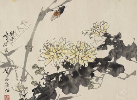 秋菊鸣蝉图片
