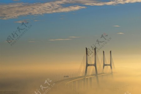 华士古达伽马大桥图片