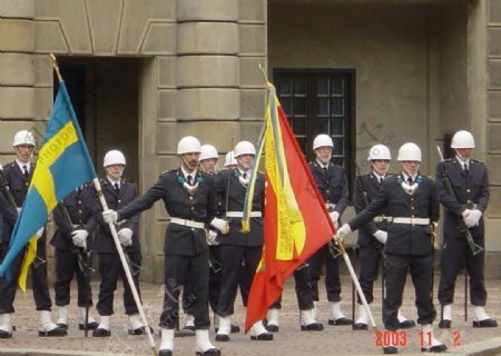 瑞典王宫换岗仪式图片