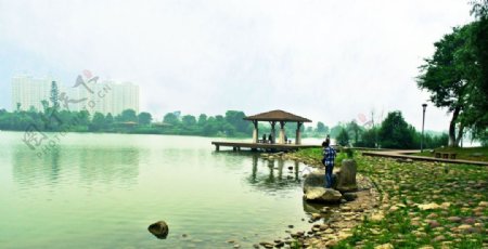 长沙月湖公园图片