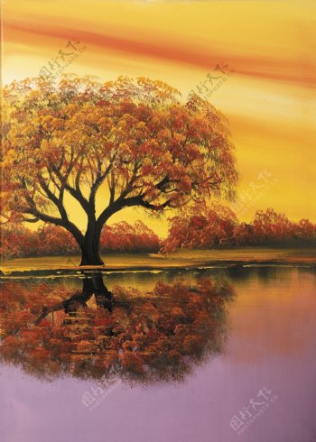 大树风景油画图片