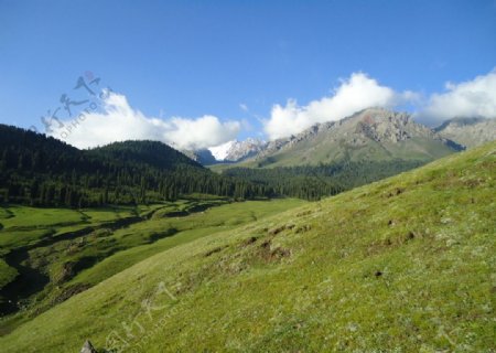 远眺雪山图片