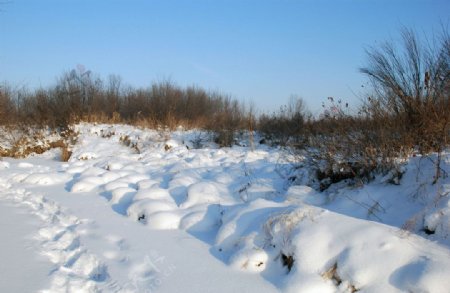 根河南河套冬天雪景图片